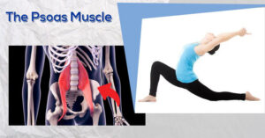 Understanding Psoas Function: