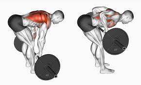 Bent-Over Rows Work Lower Back Differently: