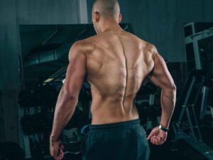 Why Recovery Time Varies So Much: