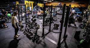 Real-Life Fitness Experience and Results