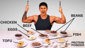 How Much Protein to Build Muscle and Best Food Sources: