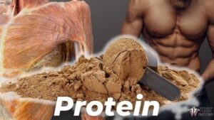 How Much Protein to Build Muscle According to Research: