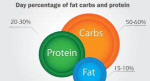 Calories, Protein, and Carbs Breakdown