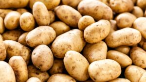 The Russet Potato nutrition Mix Few Dietitians See Coming: