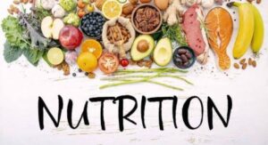 What exactly is a Nutrition Diet and the Importance of It?